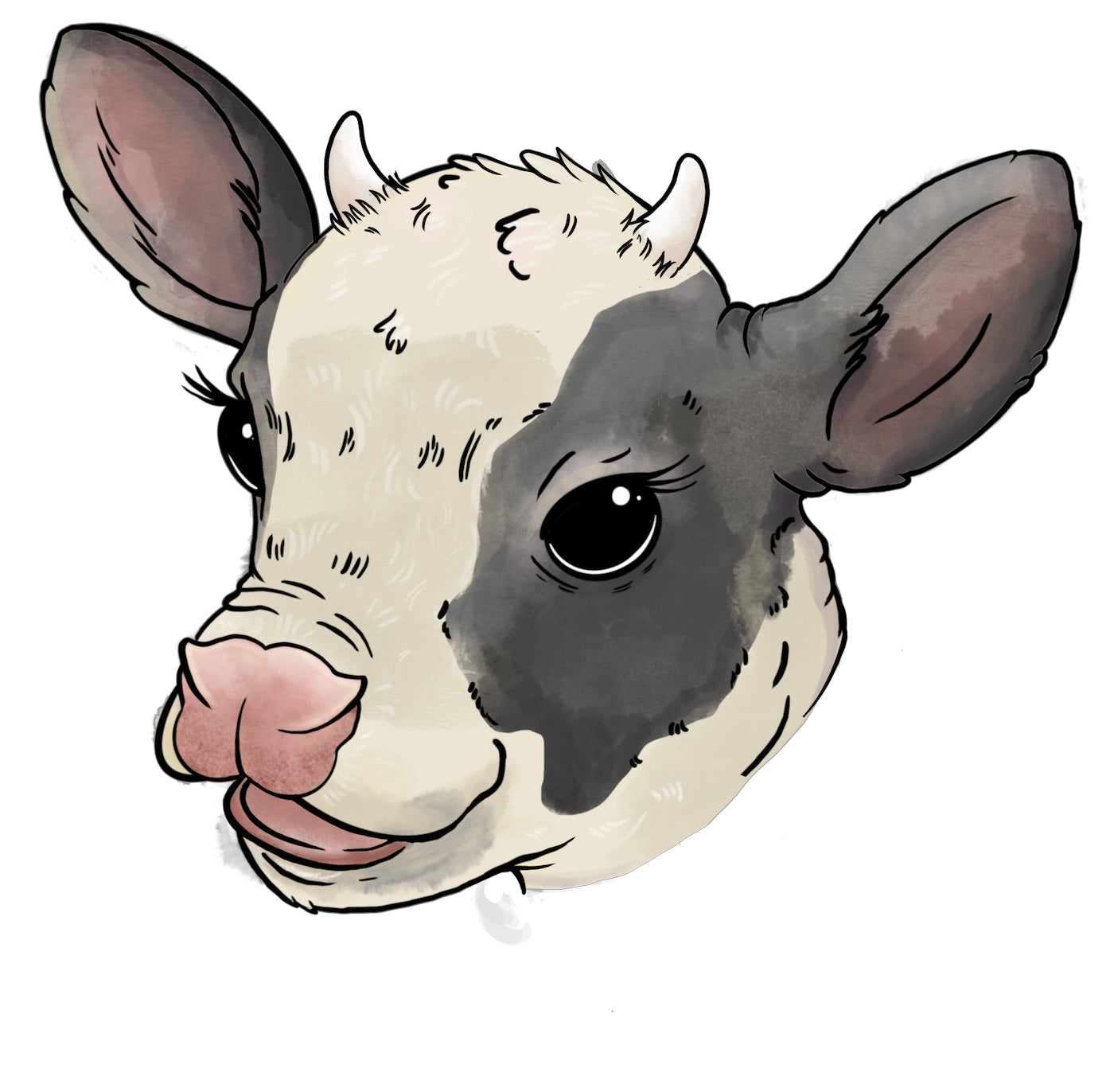 Vanilla Whipped Cream